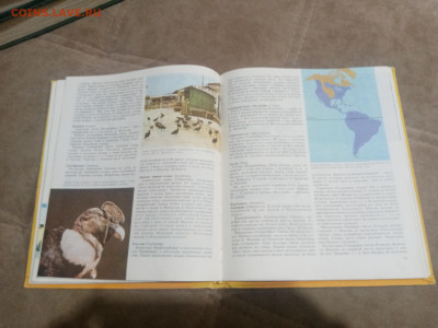 Животный мир земли до 12.02.26 в 22:00 по мск - IMG_20260207_020715