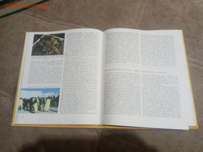 Животный мир земли до 12.02.26 в 22:00 по мск - IMG_20260207_020709