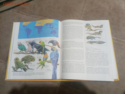 Животный мир земли до 12.02.26 в 22:00 по мск - IMG_20260207_020704