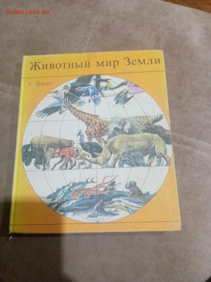 Животный мир земли до 12.02.26 в 22:00 по мск - IMG_20260207_020554