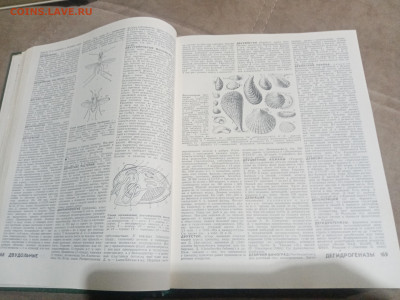 Биологический энциклопедический словарь до 12.02.26 в 22:00 - IMG_20260207_022458