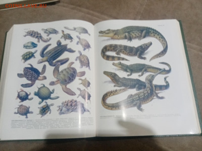 Биологический энциклопедический словарь до 12.02.26 в 22:00 - IMG_20260207_022345