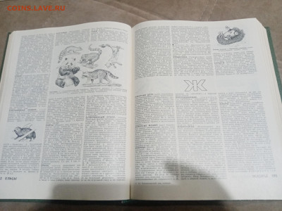 Биологический энциклопедический словарь до 12.02.26 в 22:00 - IMG_20260207_022256