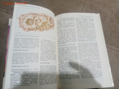 Природа мира. Вулканы до 12.02.26 в 22:00 по мск - IMG_20260207_024426