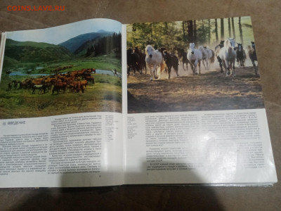 Коневодство в ссср до 12.02.26 в 22:00 по мск - IMG_20260207_033457