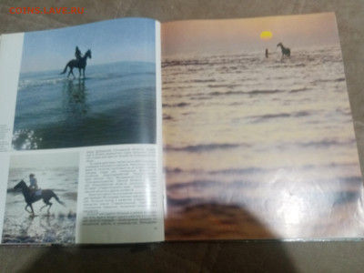 Коневодство в ссср до 12.02.26 в 22:00 по мск - IMG_20260207_033445