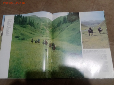 Коневодство в ссср до 12.02.26 в 22:00 по мск - IMG_20260207_033321