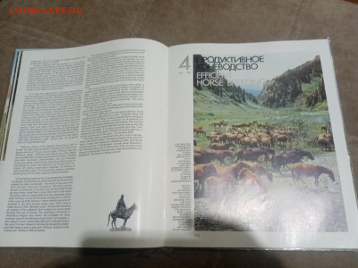 Коневодство в ссср до 12.02.26 в 22:00 по мск - IMG_20260207_033300