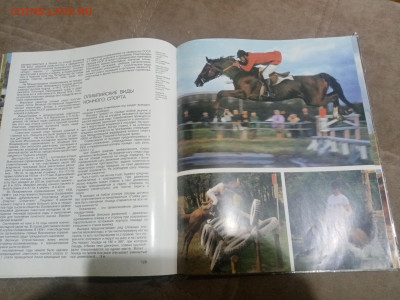 Коневодство в ссср до 12.02.26 в 22:00 по мск - IMG_20260207_033239