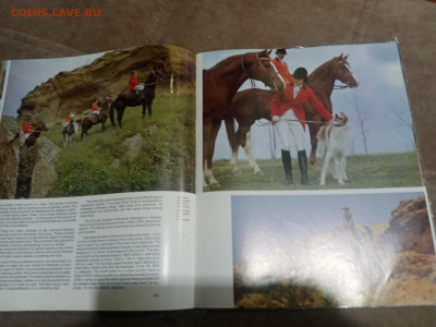 Коневодство в ссср до 12.02.26 в 22:00 по мск - IMG_20260207_033229