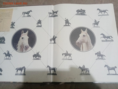 Коневодство в ссср до 12.02.26 в 22:00 по мск - IMG_20260207_032945