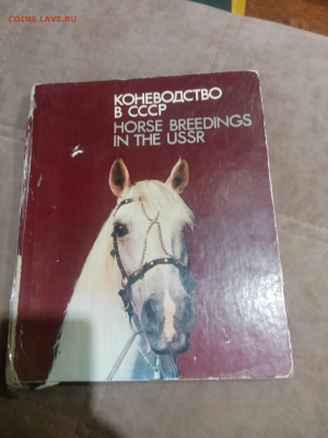 Коневодство в ссср до 12.02.26 в 22:00 по мск - IMG_20260207_033511