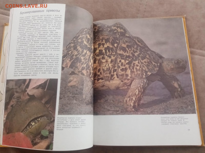 Способы защиты у животных до 13.02.26 в 22:00 по мск - IMG_20260207_111549