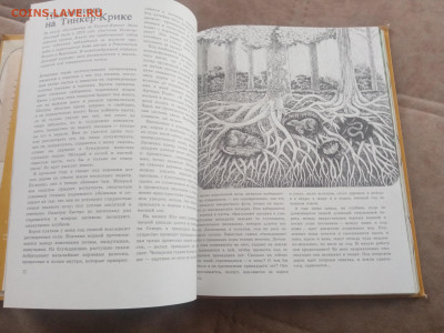 Способы защиты у животных до 13.02.26 в 22:00 по мск - IMG_20260207_111539