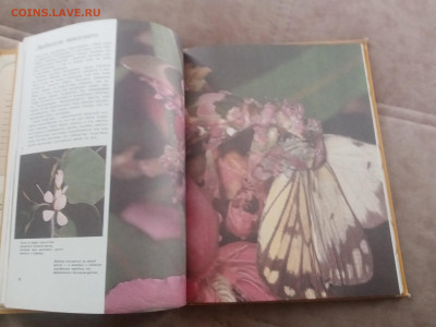 Способы защиты у животных до 13.02.26 в 22:00 по мск - IMG_20260207_111529