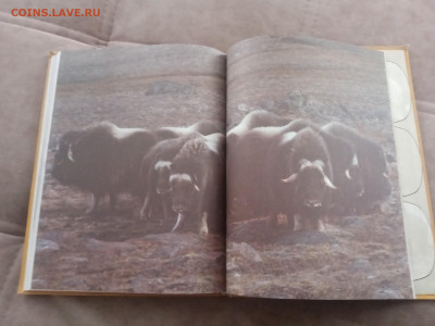 Способы защиты у животных до 13.02.26 в 22:00 по мск - IMG_20260207_111458