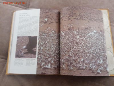 Способы защиты у животных до 13.02.26 в 22:00 по мск - IMG_20260207_111446