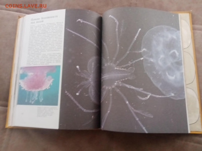 Способы защиты у животных до 13.02.26 в 22:00 по мск - IMG_20260207_111440