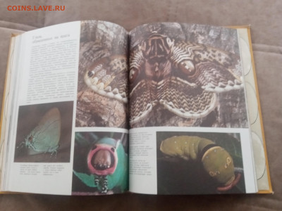 Способы защиты у животных до 13.02.26 в 22:00 по мск - IMG_20260207_111435