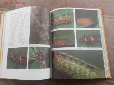 Способы защиты у животных до 13.02.26 в 22:00 по мск - IMG_20260207_111426