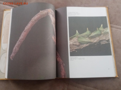 Способы защиты у животных до 13.02.26 в 22:00 по мск - IMG_20260207_111408