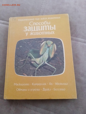 Способы защиты у животных до 13.02.26 в 22:00 по мск - IMG_20260207_111334