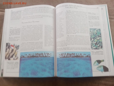 Америка и австралия до 13.02.26 в 22:00 по мск - IMG_20260207_112407