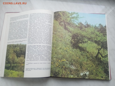 Растительный мир земли в 2х томах до 13.02.26 в 22:00 по мск - IMG_20260207_120355