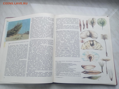 Растительный мир земли в 2х томах до 13.02.26 в 22:00 по мск - IMG_20260207_120346