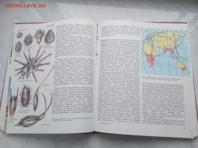 Растительный мир земли в 2х томах до 13.02.26 в 22:00 по мск - IMG_20260207_120326