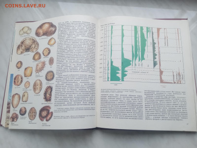 Растительный мир земли в 2х томах до 13.02.26 в 22:00 по мск - IMG_20260207_120316