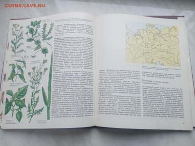 Растительный мир земли в 2х томах до 13.02.26 в 22:00 по мск - IMG_20260207_120306