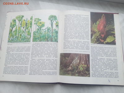 Растительный мир земли в 2х томах до 13.02.26 в 22:00 по мск - IMG_20260207_120256