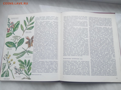 Растительный мир земли в 2х томах до 13.02.26 в 22:00 по мск - IMG_20260207_120245