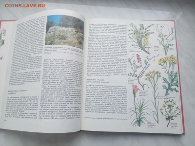 Растительный мир земли в 2х томах до 13.02.26 в 22:00 по мск - IMG_20260207_120204