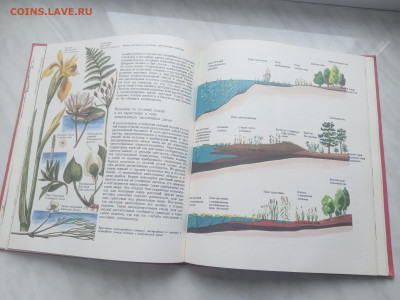 Растительный мир земли в 2х томах до 13.02.26 в 22:00 по мск - IMG_20260207_120154