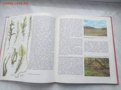 Растительный мир земли в 2х томах до 13.02.26 в 22:00 по мск - IMG_20260207_120144