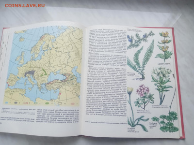 Растительный мир земли в 2х томах до 13.02.26 в 22:00 по мск - IMG_20260207_120134