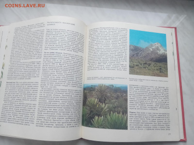 Растительный мир земли в 2х томах до 13.02.26 в 22:00 по мск - IMG_20260207_120124