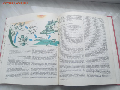 Растительный мир земли в 2х томах до 13.02.26 в 22:00 по мск - IMG_20260207_120046