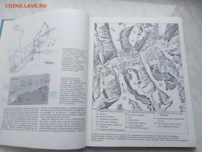 Не покойный ландшафтный до 13.02.26 в 22:00 по мск - IMG_20260207_123738