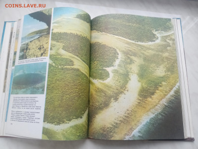 Не покойный ландшафтный до 13.02.26 в 22:00 по мск - IMG_20260207_123625