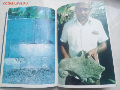 Мальдивская загадка до 13.02.26 в 22:00 по мск - IMG_20260207_134328