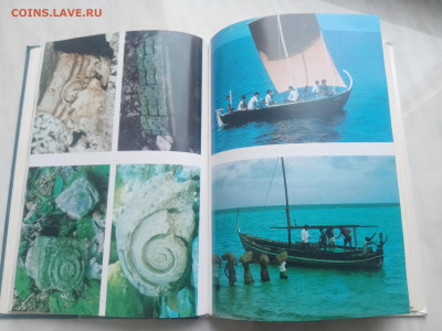 Мальдивская загадка до 13.02.26 в 22:00 по мск - IMG_20260207_134322