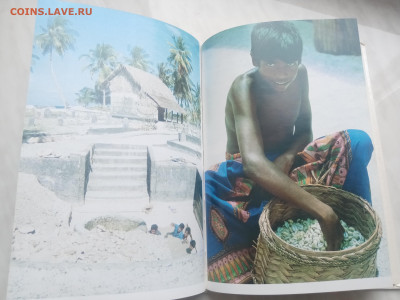 Мальдивская загадка до 13.02.26 в 22:00 по мск - IMG_20260207_134315