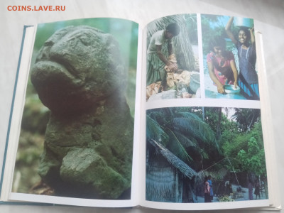 Мальдивская загадка до 13.02.26 в 22:00 по мск - IMG_20260207_134308