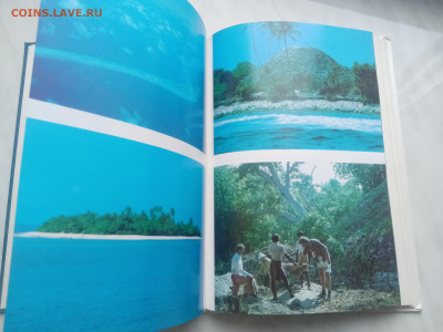 Мальдивская загадка до 13.02.26 в 22:00 по мск - IMG_20260207_134255