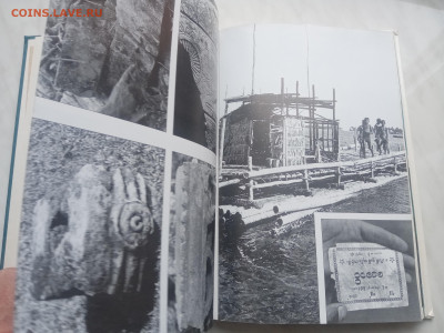 Мальдивская загадка до 13.02.26 в 22:00 по мск - IMG_20260207_134220