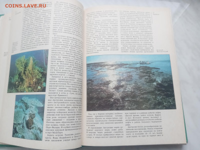 Австралия океания антарктида до 13.02.26 в 22:00 по мск - IMG_20260207_140303