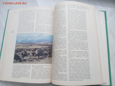 Австралия океания антарктида до 13.02.26 в 22:00 по мск - IMG_20260207_140140